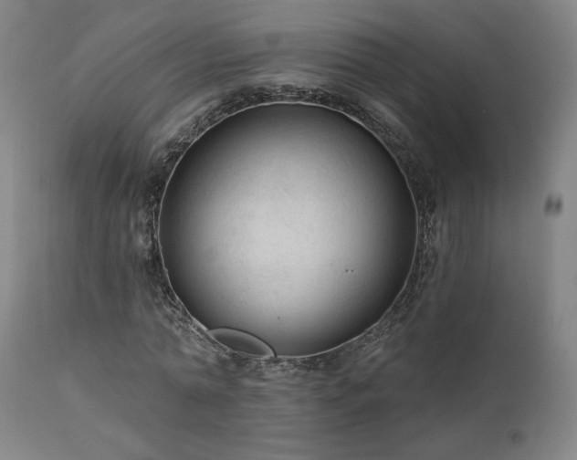 X0000111460774200907131454