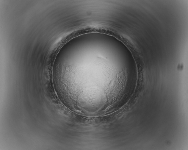 X0000111460776200907131454