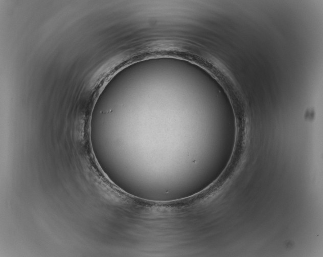 X0000111460777200907131454