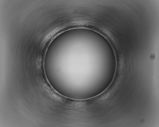 X0000111460778200907131454