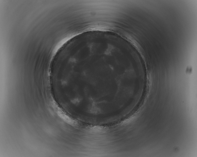 X0000111460779200907131454
