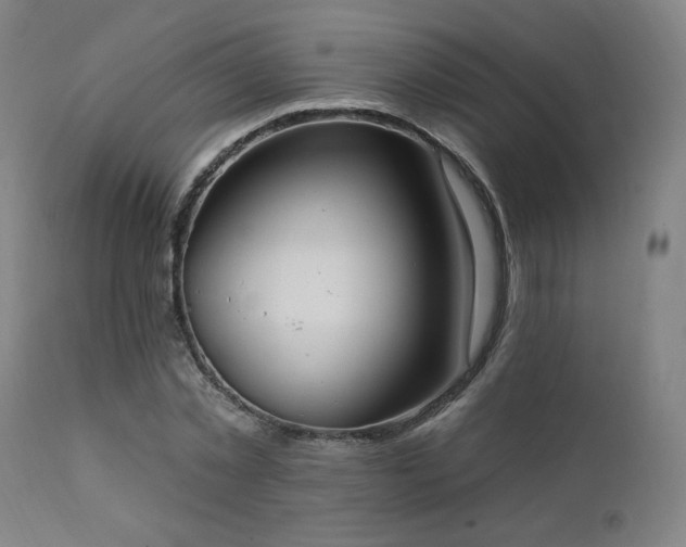 X0000111460781200907131454