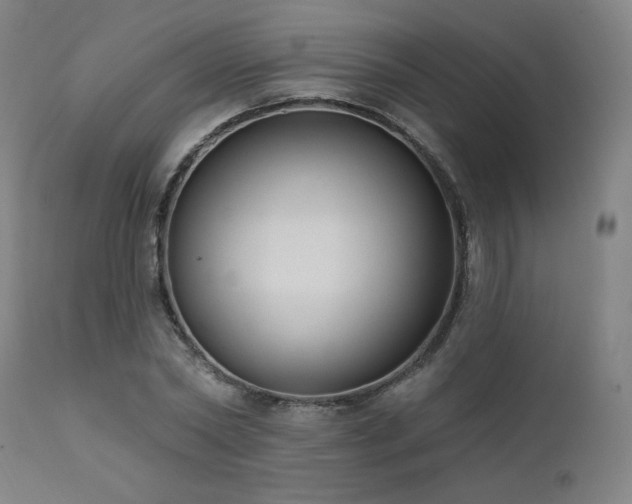 X0000111460782200907131454