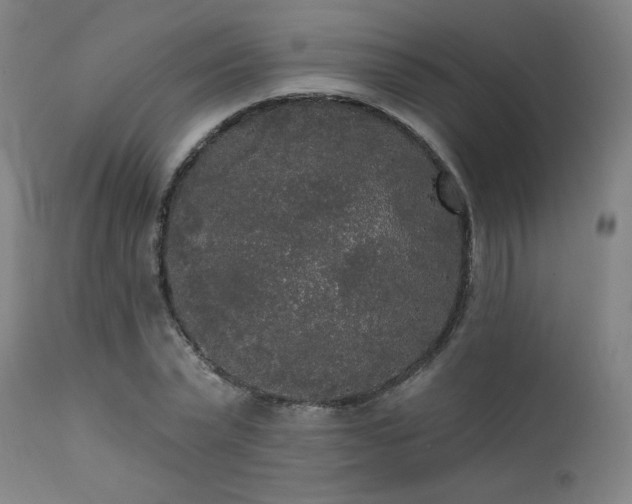 X0000111460783200907131454