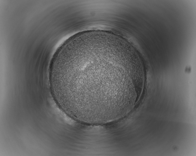 X0000111460784200907131454