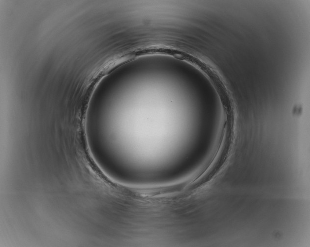 X0000111460785200907131454