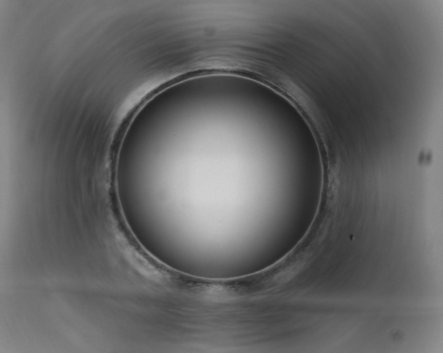 X0000111460787200907131454