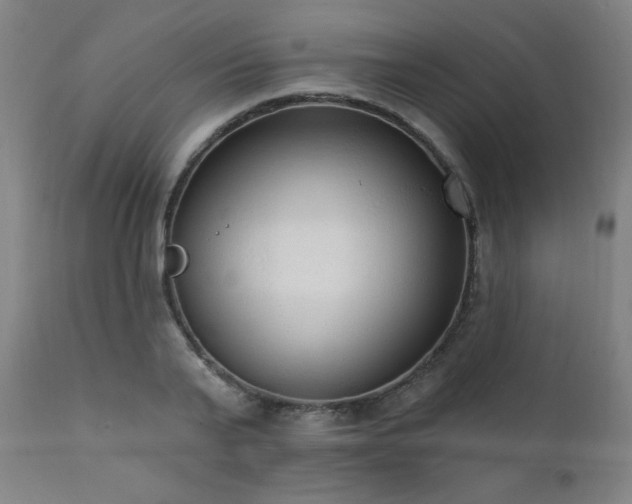 X0000111460791200907131454