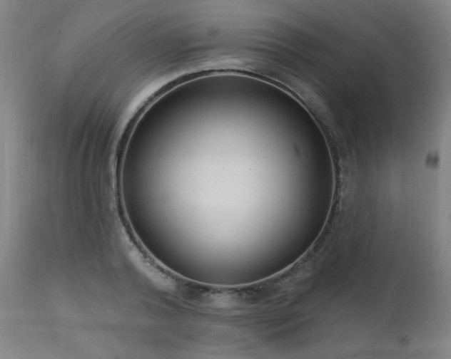 X0000111460792200907131454