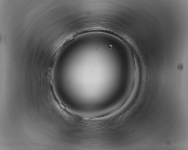 X0000111460793200907131454