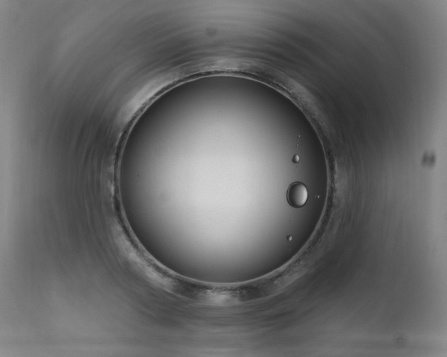 X0000111460794200907131454