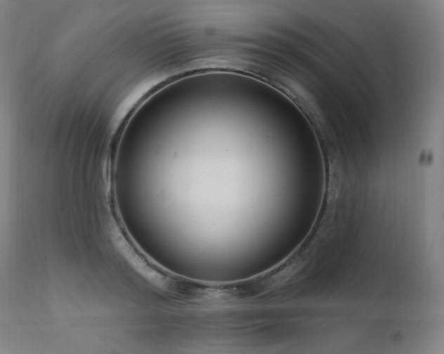 X0000111460796200907131454