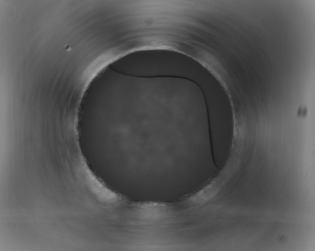 X0000111460797200907131454
