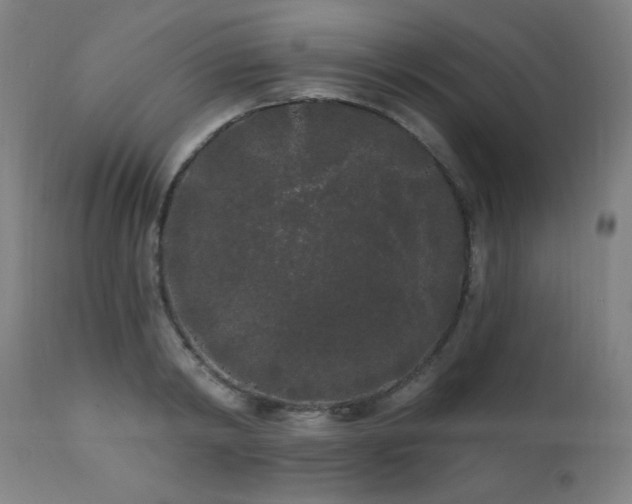 X0000111460798200907131454