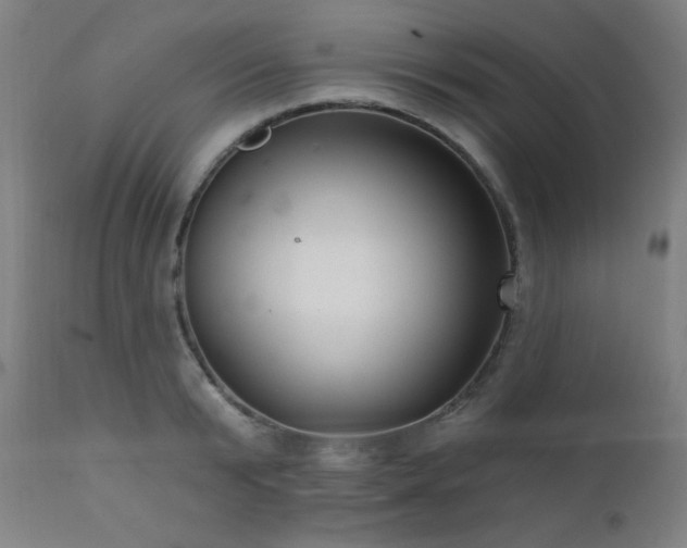 X0000111460799200907131454