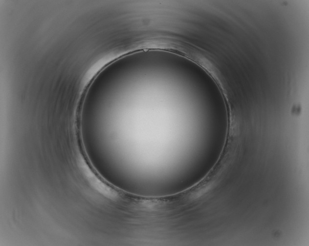 X0000111460803200907131454