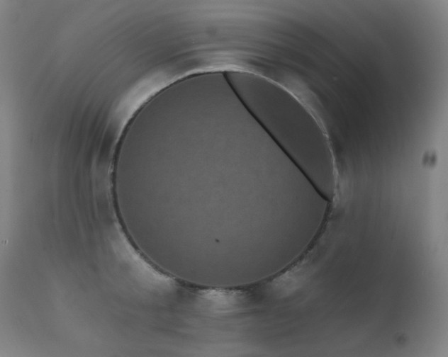 X0000111460805200907131454