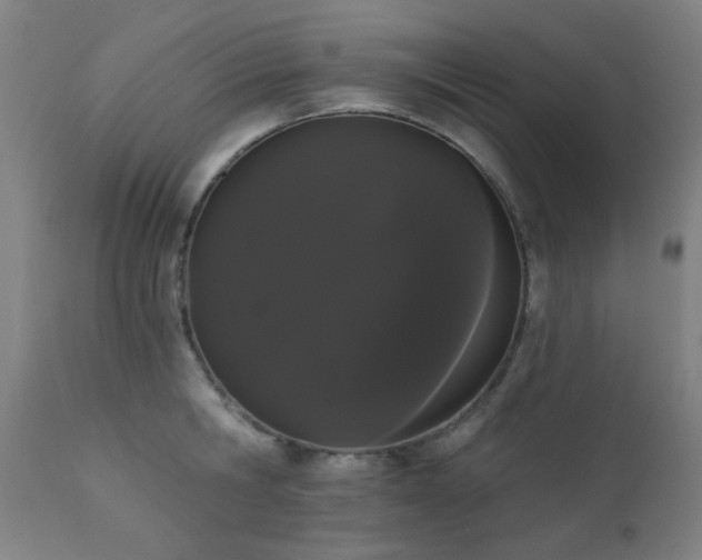 X0000111460806200907131454