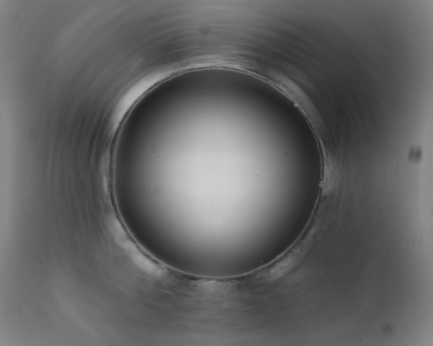 X0000111460812200907131454