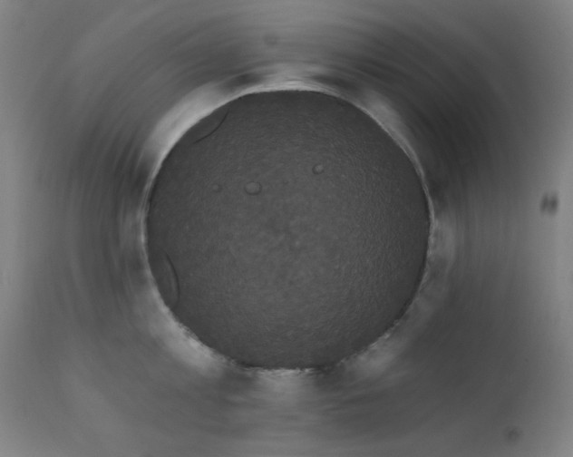 X0000111460813200907131454