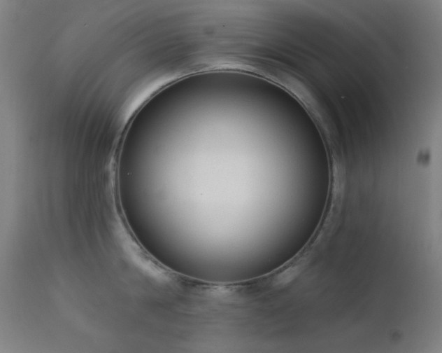 X0000111460814200907131454