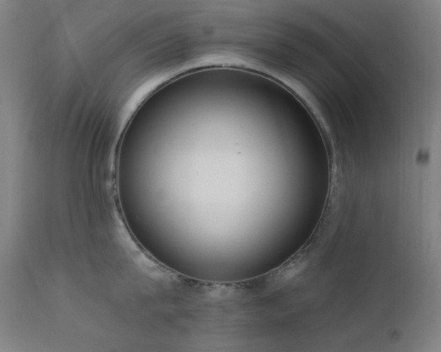 X0000111460815200907131454