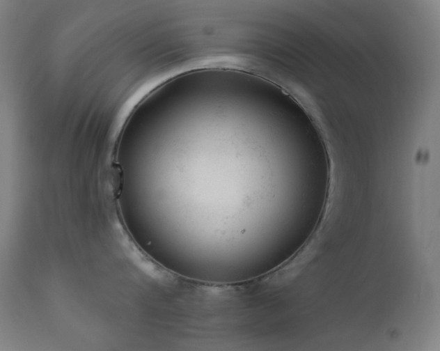 X0000111460816200907131454