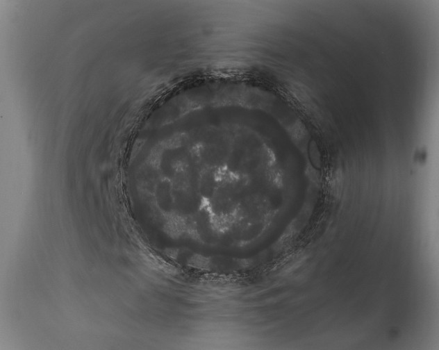 X0000111460817200907131453