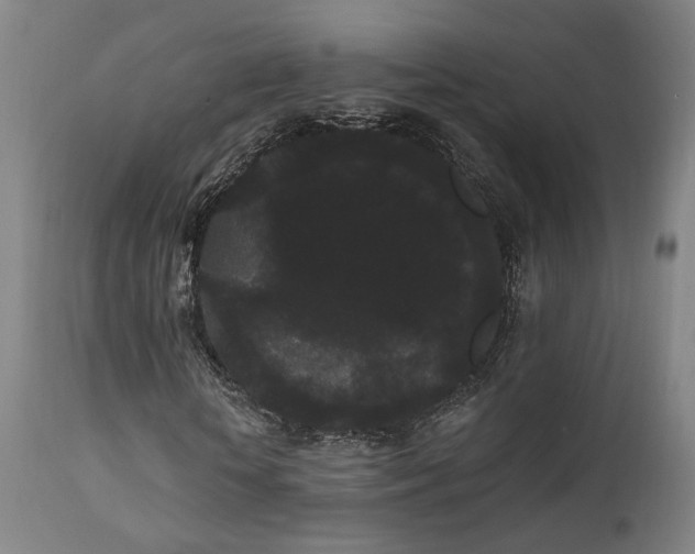 X0000111460818200907131453