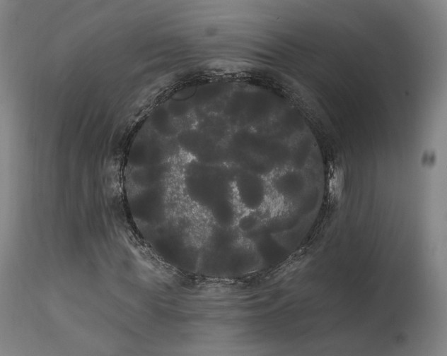 X0000111460819200907131453