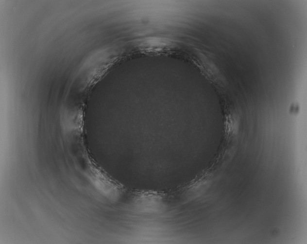 X0000111460820200907131453