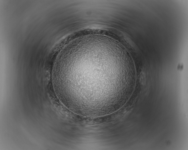 X0000111460821200907131453