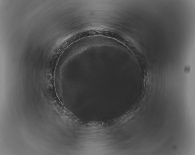 X0000111460822200907131453