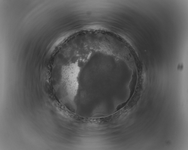 X0000111460823200907131453