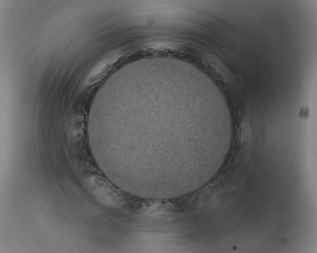 X0000111460824200907131453