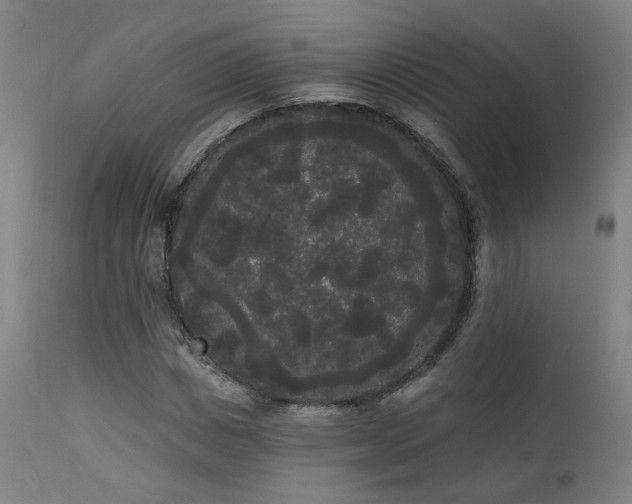 X0000111460825200907131453
