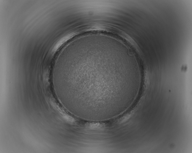 X0000111460826200907131453