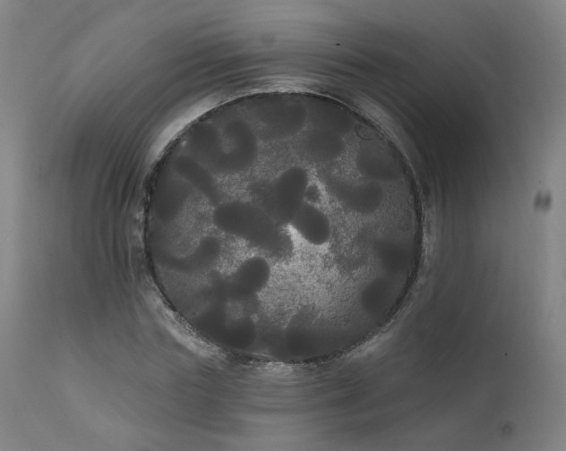 X0000111460827200907131453