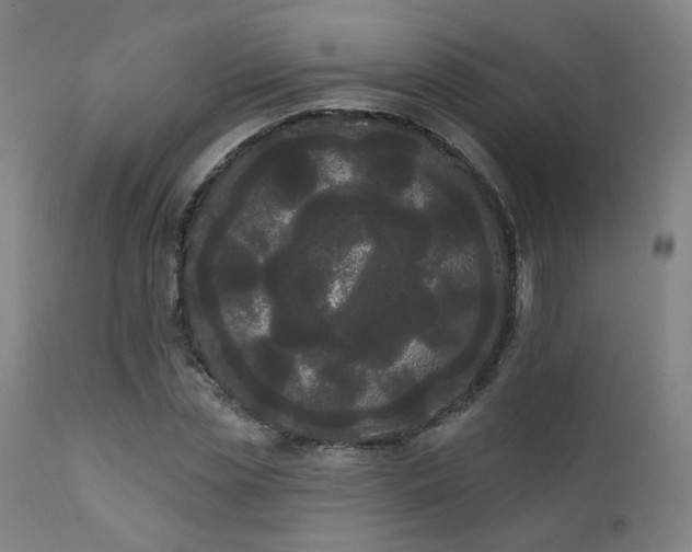 X0000111460829200907131453