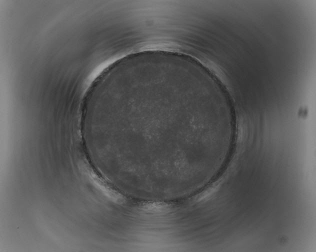 X0000111460830200907131453