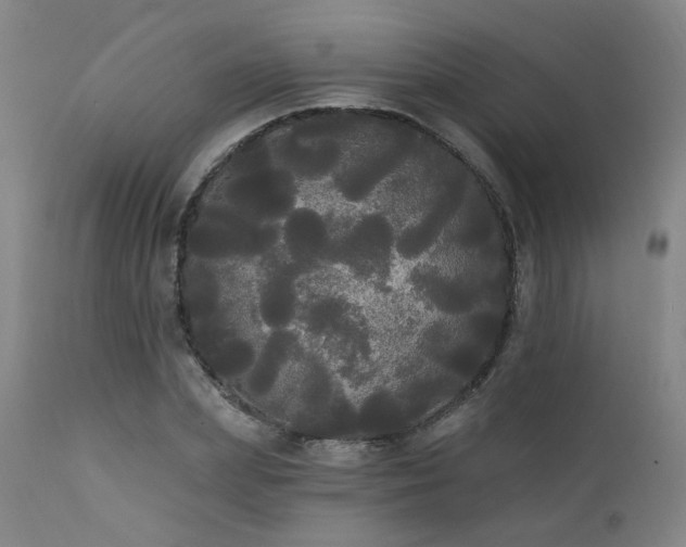 X0000111460831200907131453