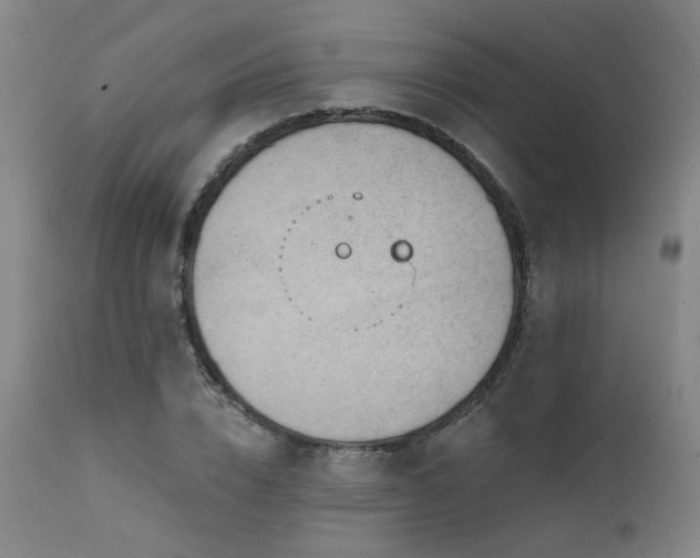 X0000111460832200907131453