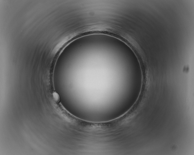 X0000111460834200907131453