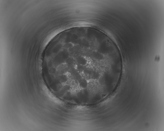 X0000111460835200907131453