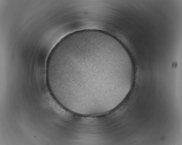 X0000111460836200907131453