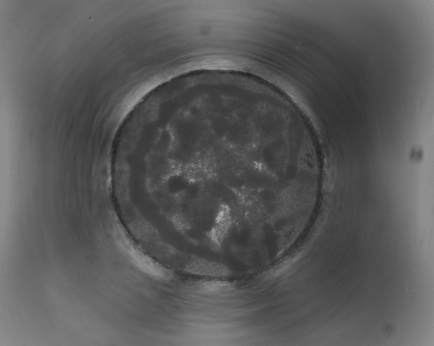X0000111460837200907131453