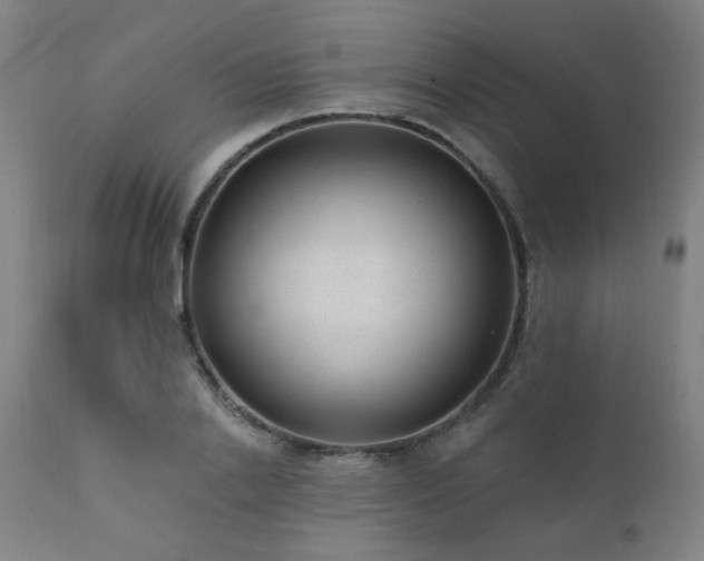 X0000111460838200907131453