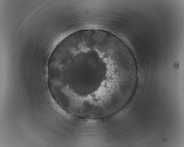 X0000111460839200907131453