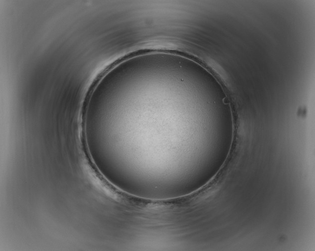 X0000111460840200907131453