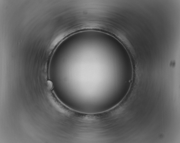 X0000111460842200907131453